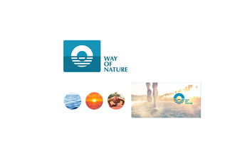 從LOGO到品牌靈魂 企業(yè)形象設(shè)計(jì)的全方位構(gòu)建